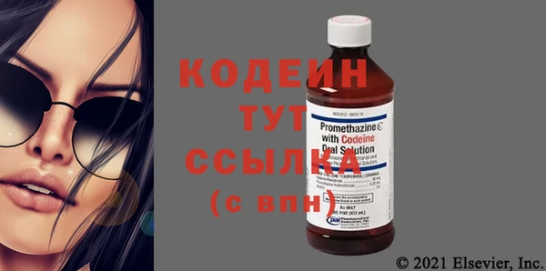 дмт Богданович