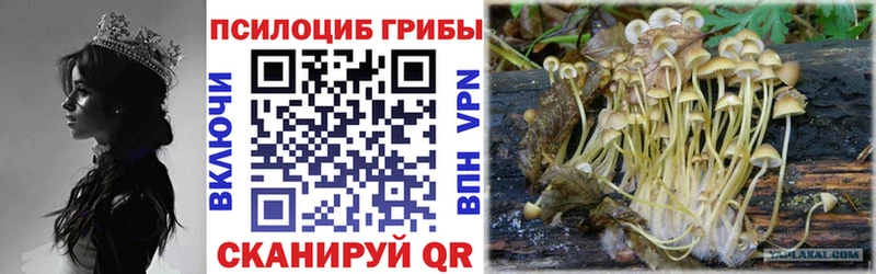 Галлюциногенные грибы Magic Shrooms  как найти закладки  kraken ONION  Шуя 