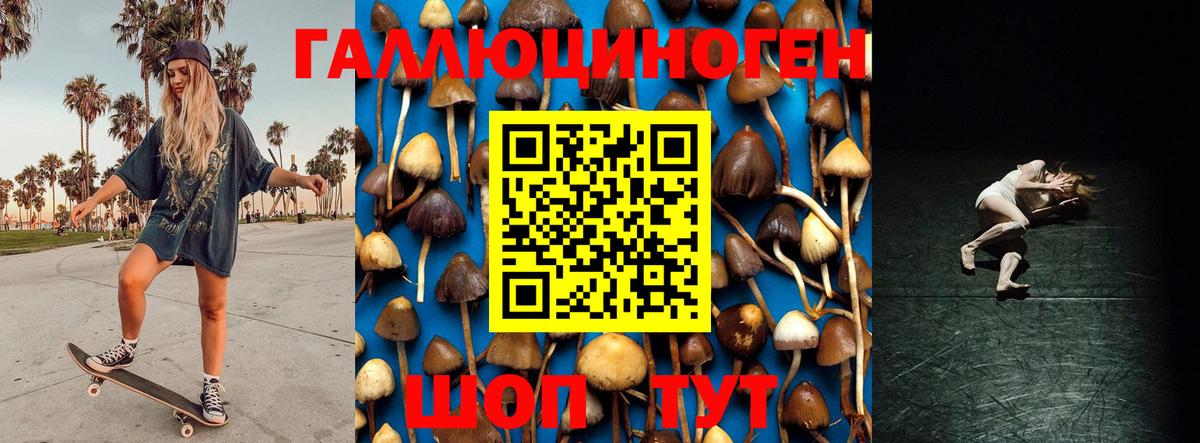 Шуя  Псилоцибиновые грибы мухоморы  Вход с VPN 